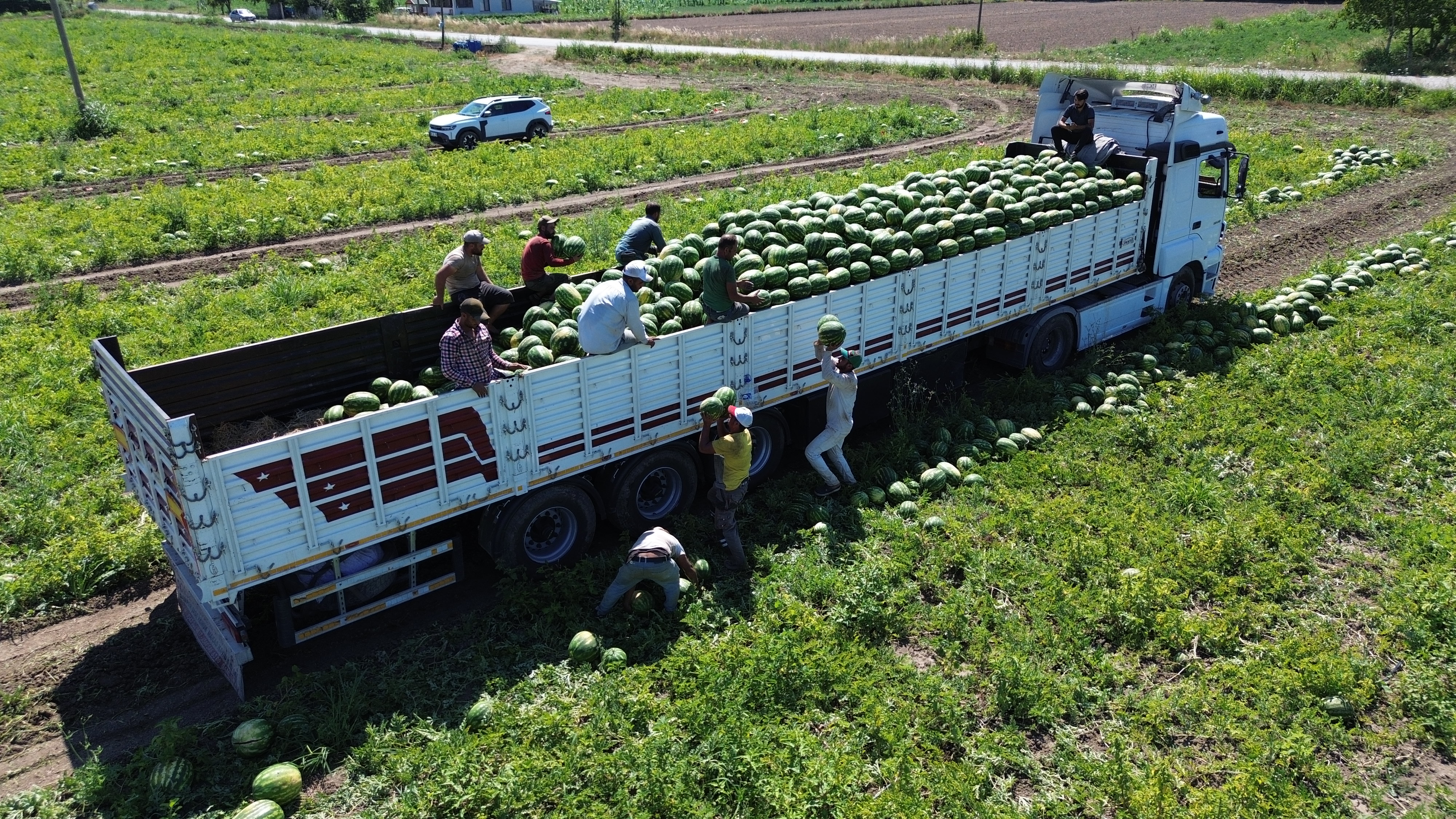 aa-20250726-38666268-38666264-bafra-ovasinda-94-bin-500-ton-karpuz-rekoltesi-bekleniyor.jpg