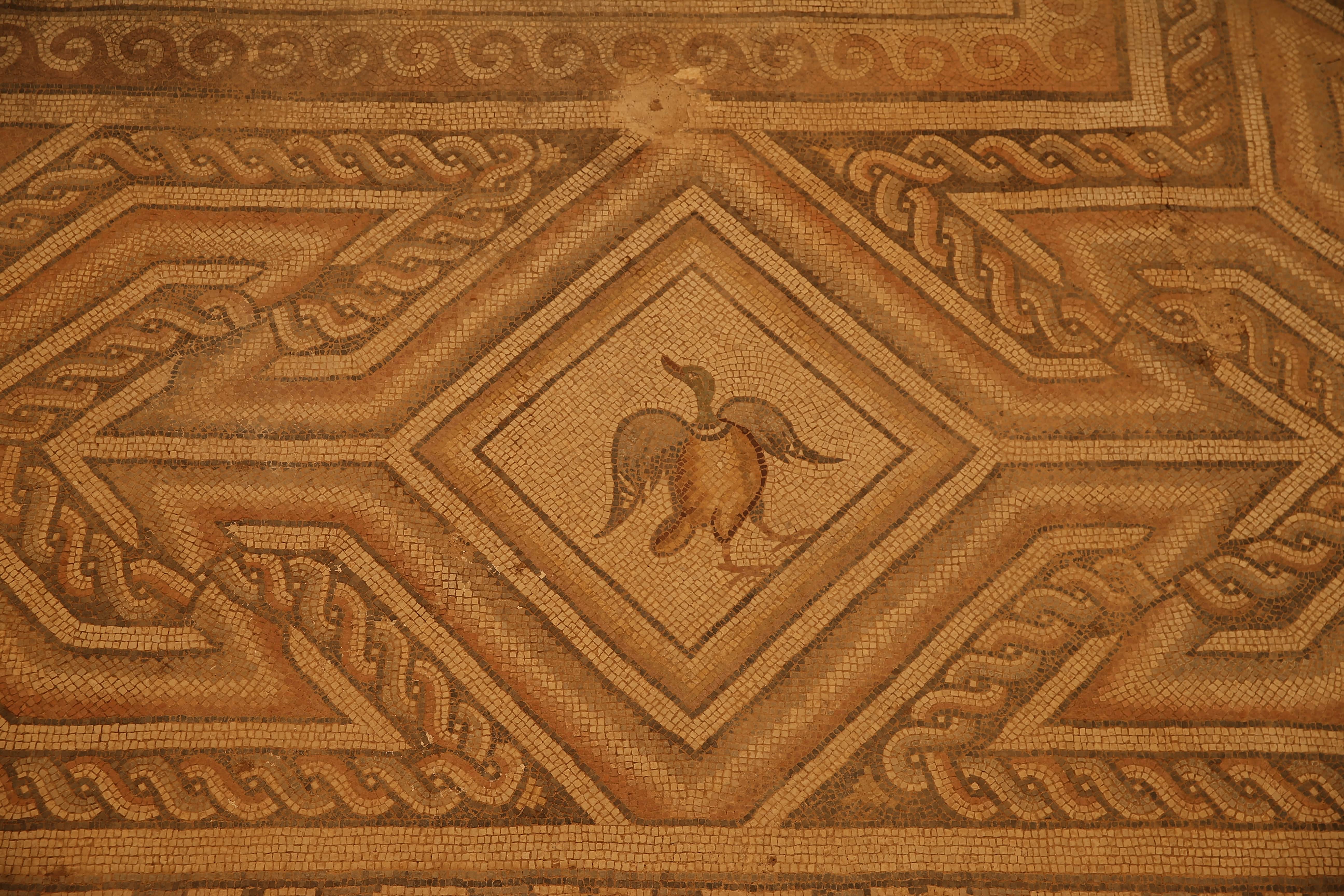 aa-20250726-38667019-38667017-perre-antik-kentindeki-125-metrekarelik-mozaikte-konservasyon-islemi-tamamlandi-min.jpg