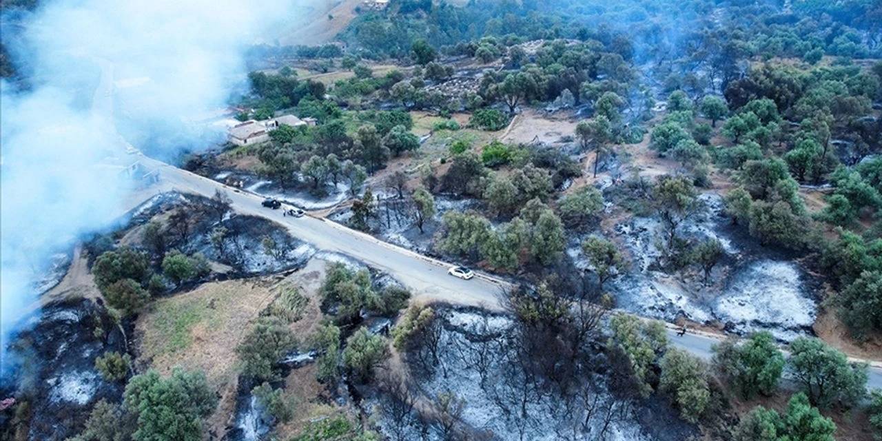yangin-ucagi-cicelde-dustu-4-kisi-hayatini-kaybetti-4.jpg