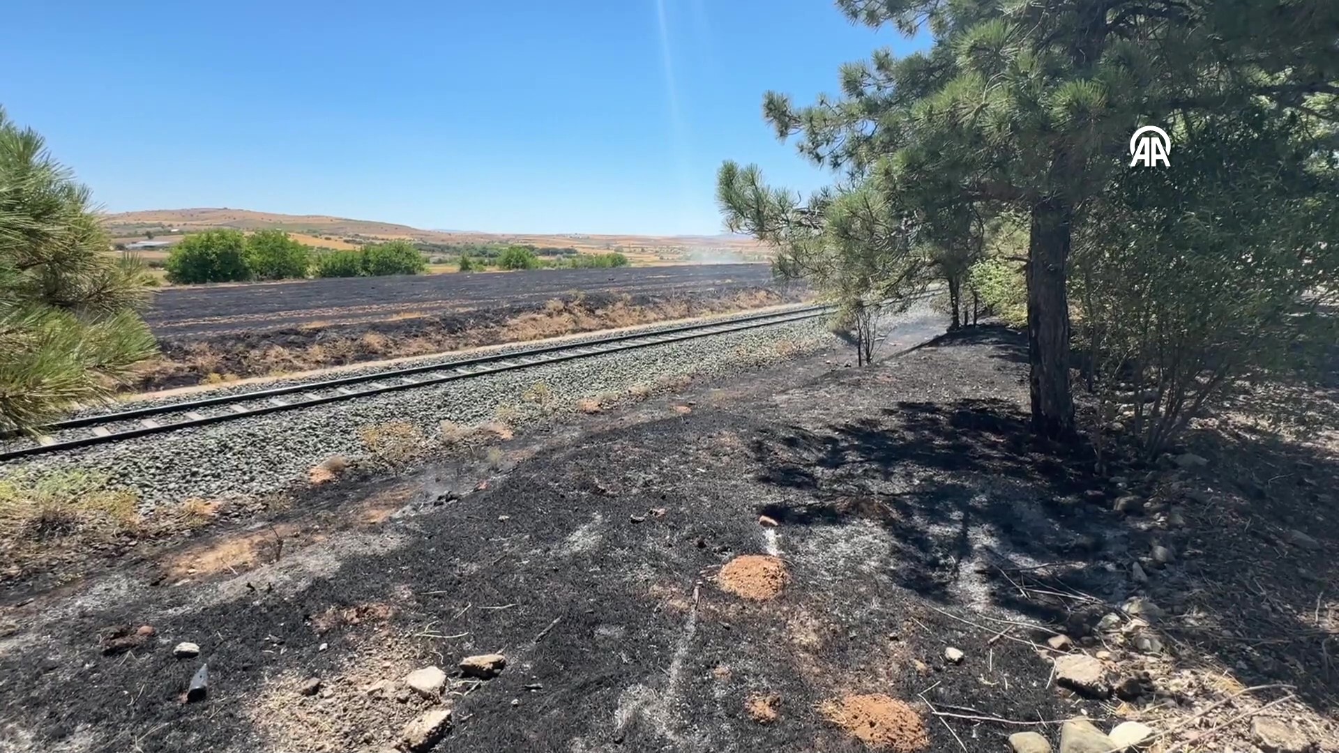 aa-20250816-38845402-38845401-elazigda-anizda-cikip-agaclik-alana-sicrayan-yangin-sonduruldu-frame-at-0m6s.jpg