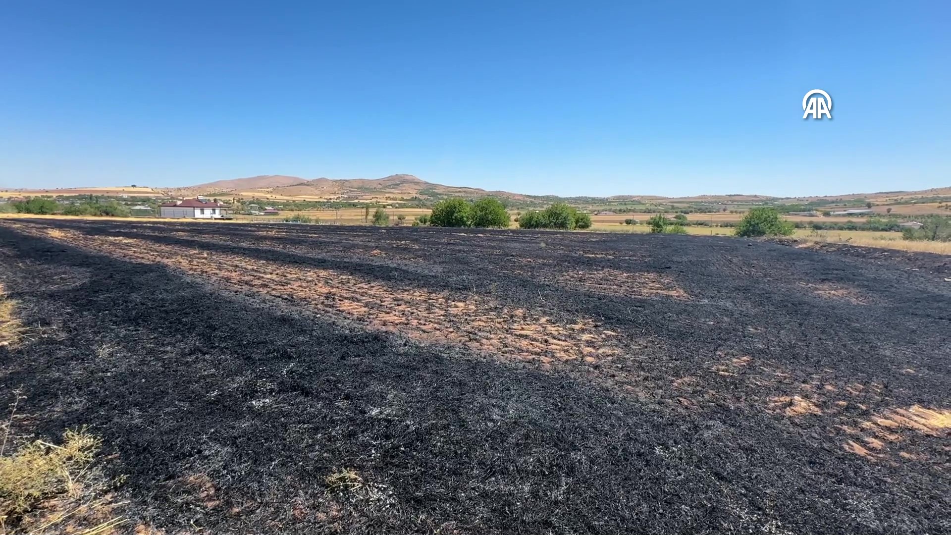 aa-20250816-38845402-38845401-elazigda-anizda-cikip-agaclik-alana-sicrayan-yangin-sonduruldu-frame-at-1m7s.jpg