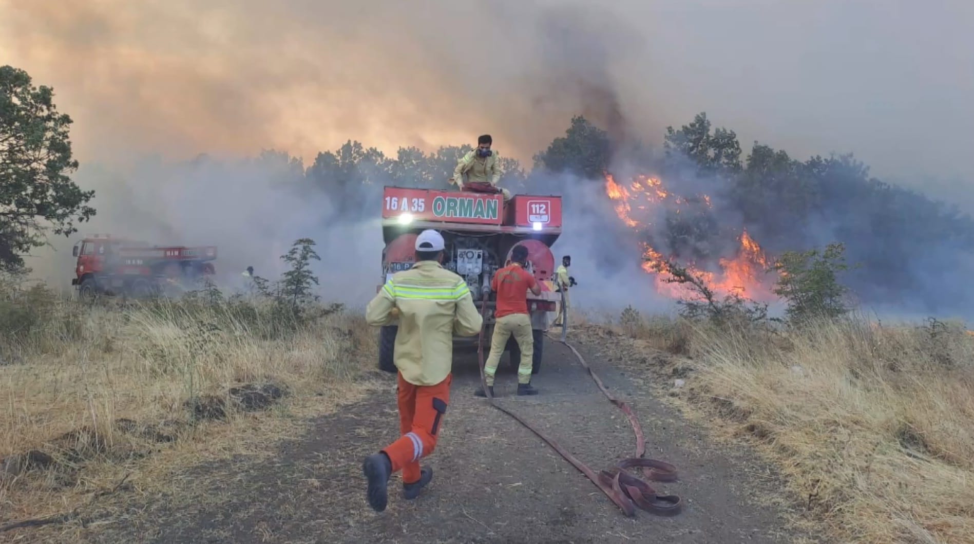 bursada-orman-yangini-872140-259004.jpg