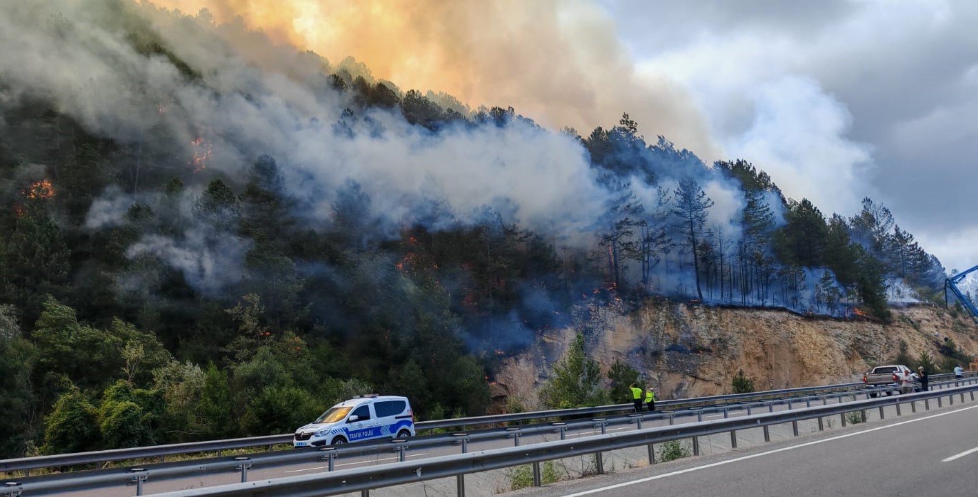 boluda-orman-yangini-873941-259585.jpg