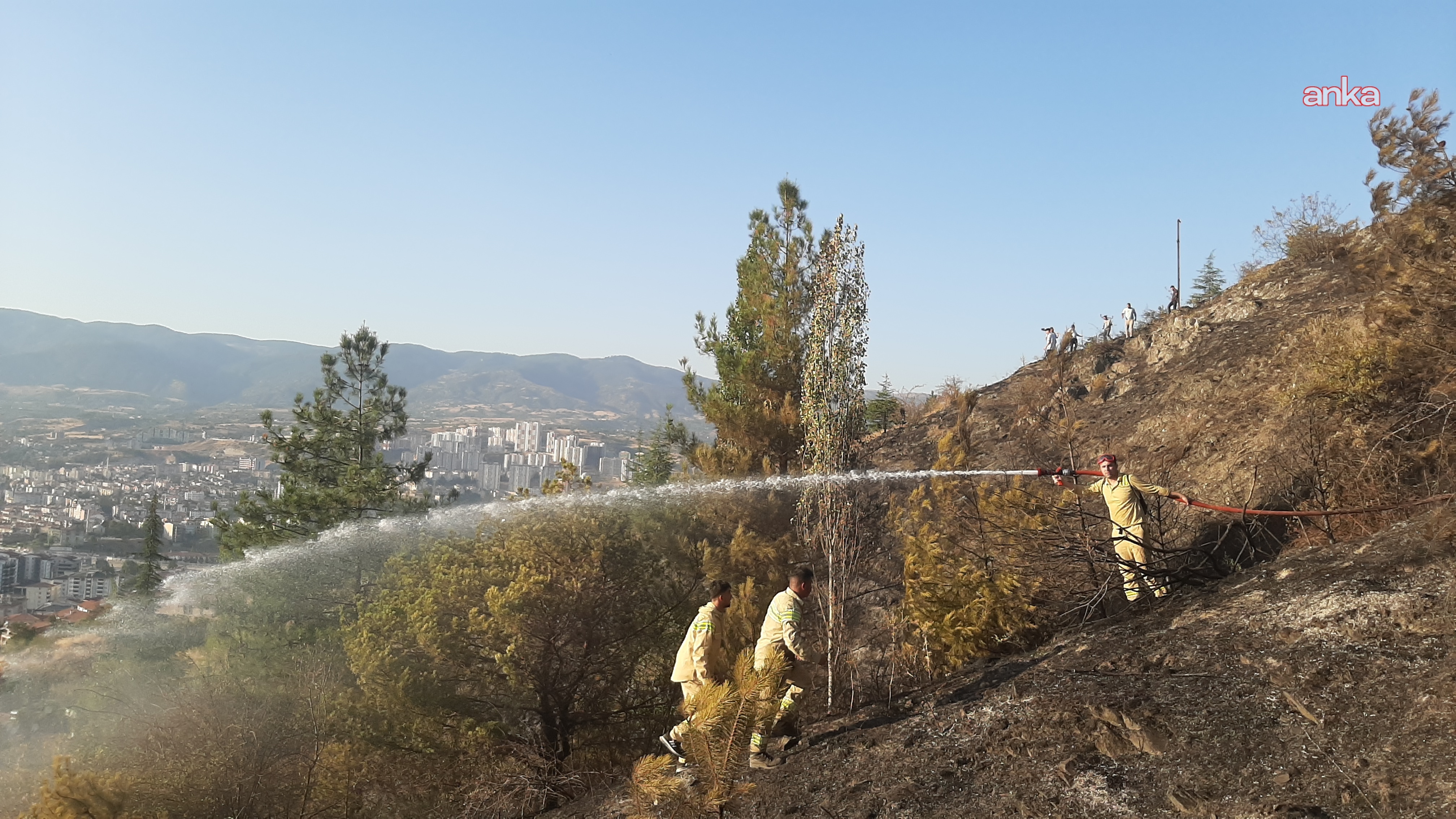 tokat-yangin-1.jpg