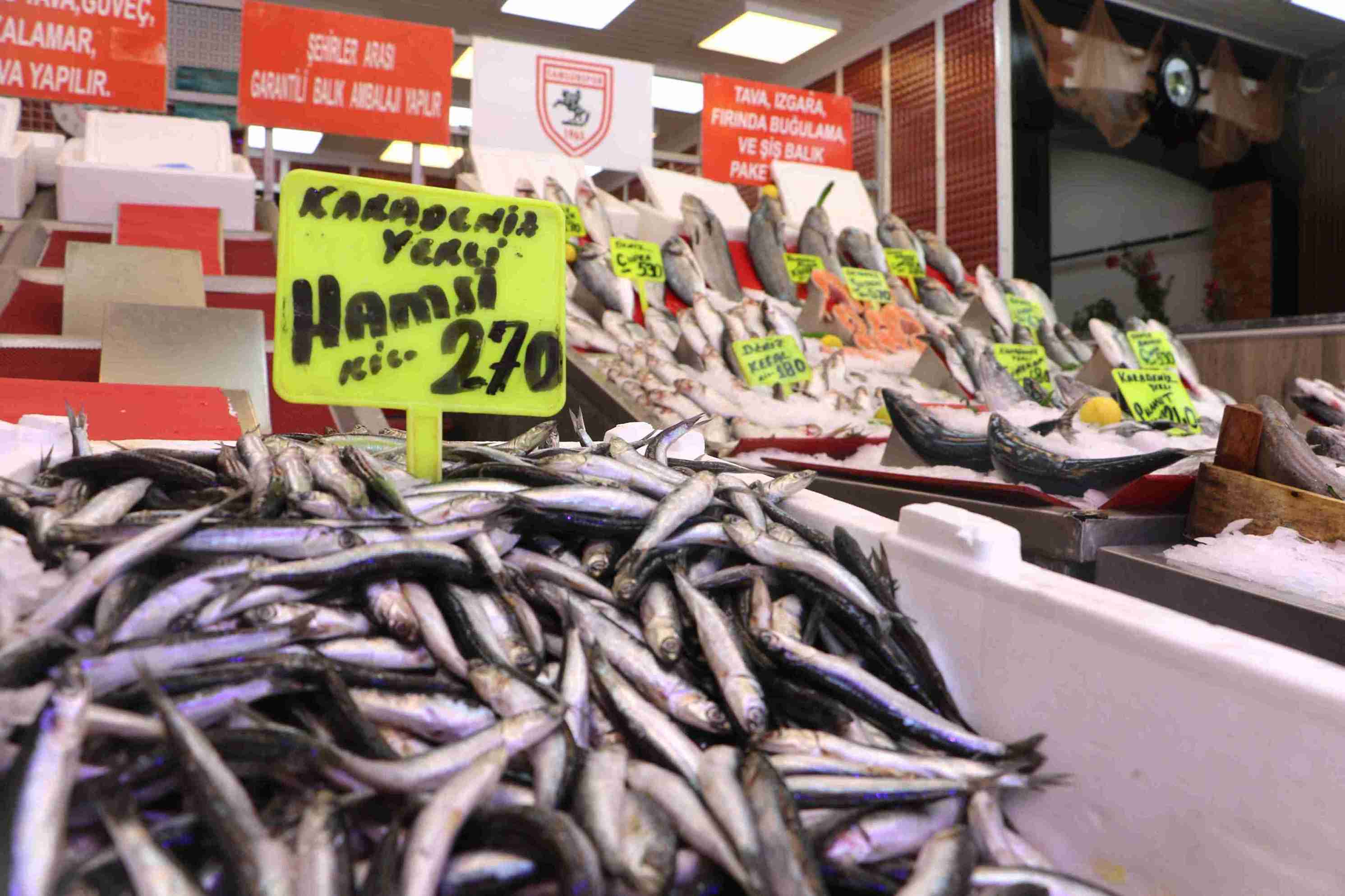 samsunda-av-sezonun-ilk-baliklari-tezga-892485-265048-11zon.jpg