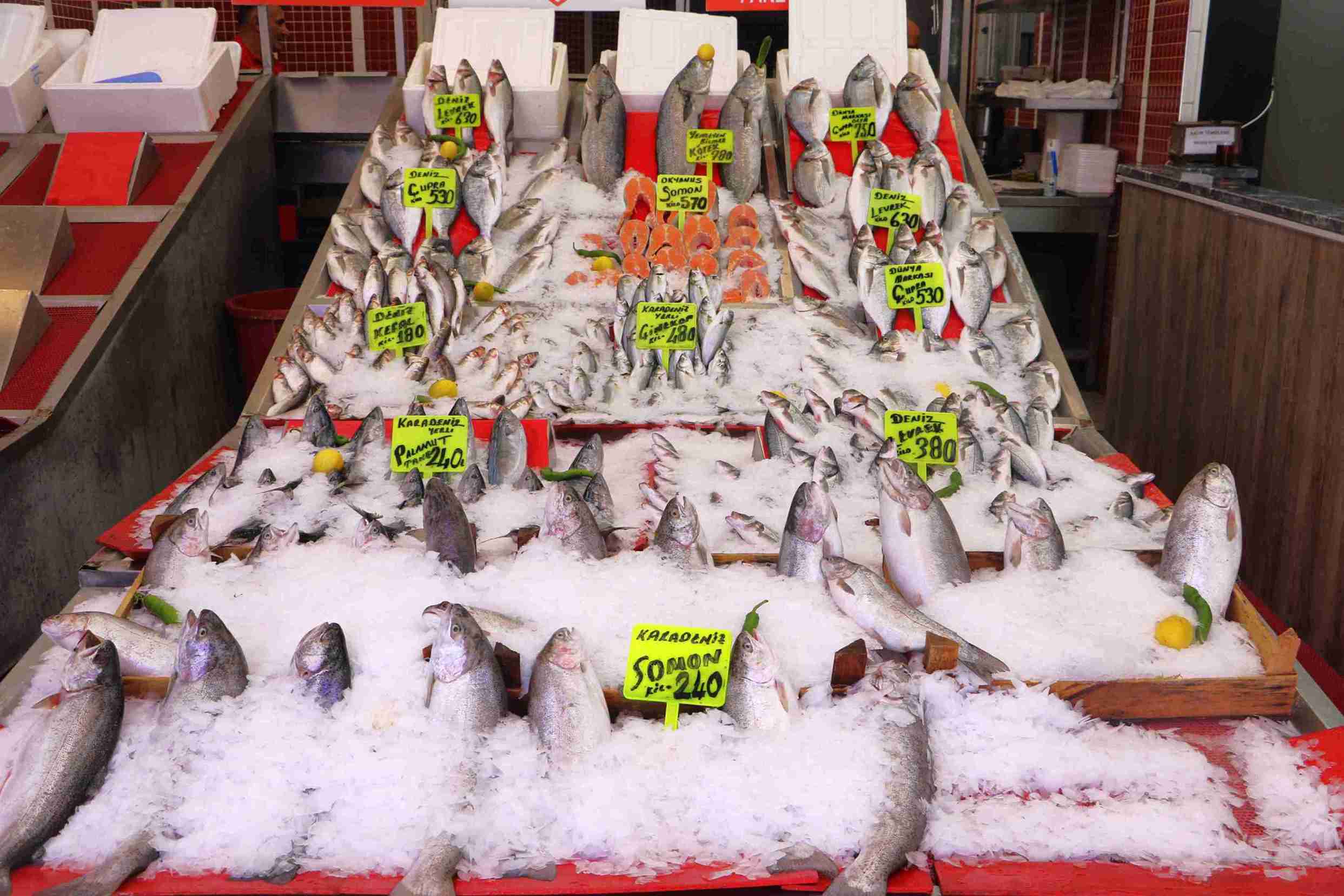 samsunda-av-sezonun-ilk-baliklari-tezga-892487-265048-11zon.jpg