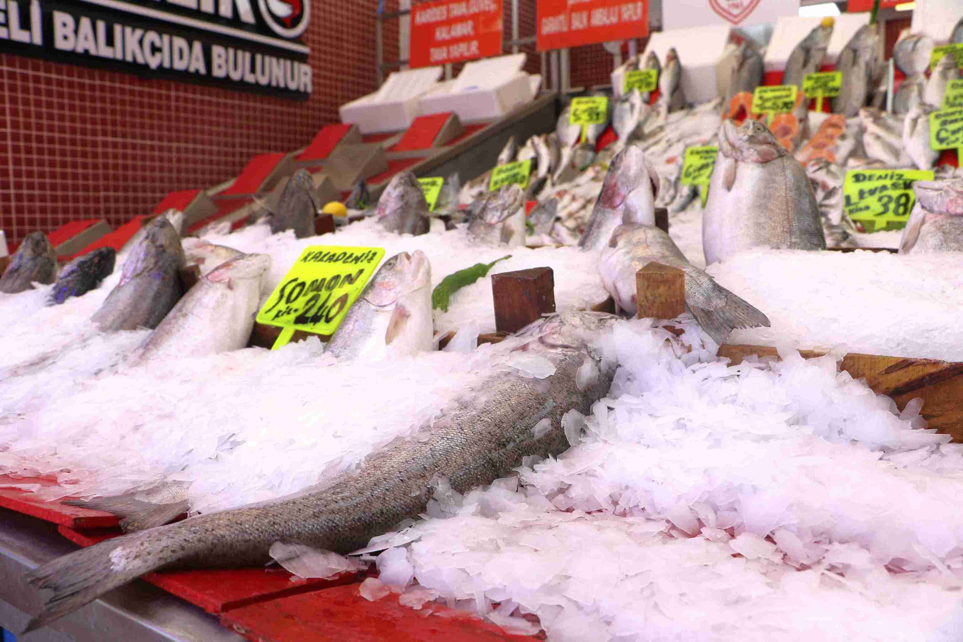 samsunda-av-sezonun-ilk-baliklari-tezga-892491-265048-11zon.jpg