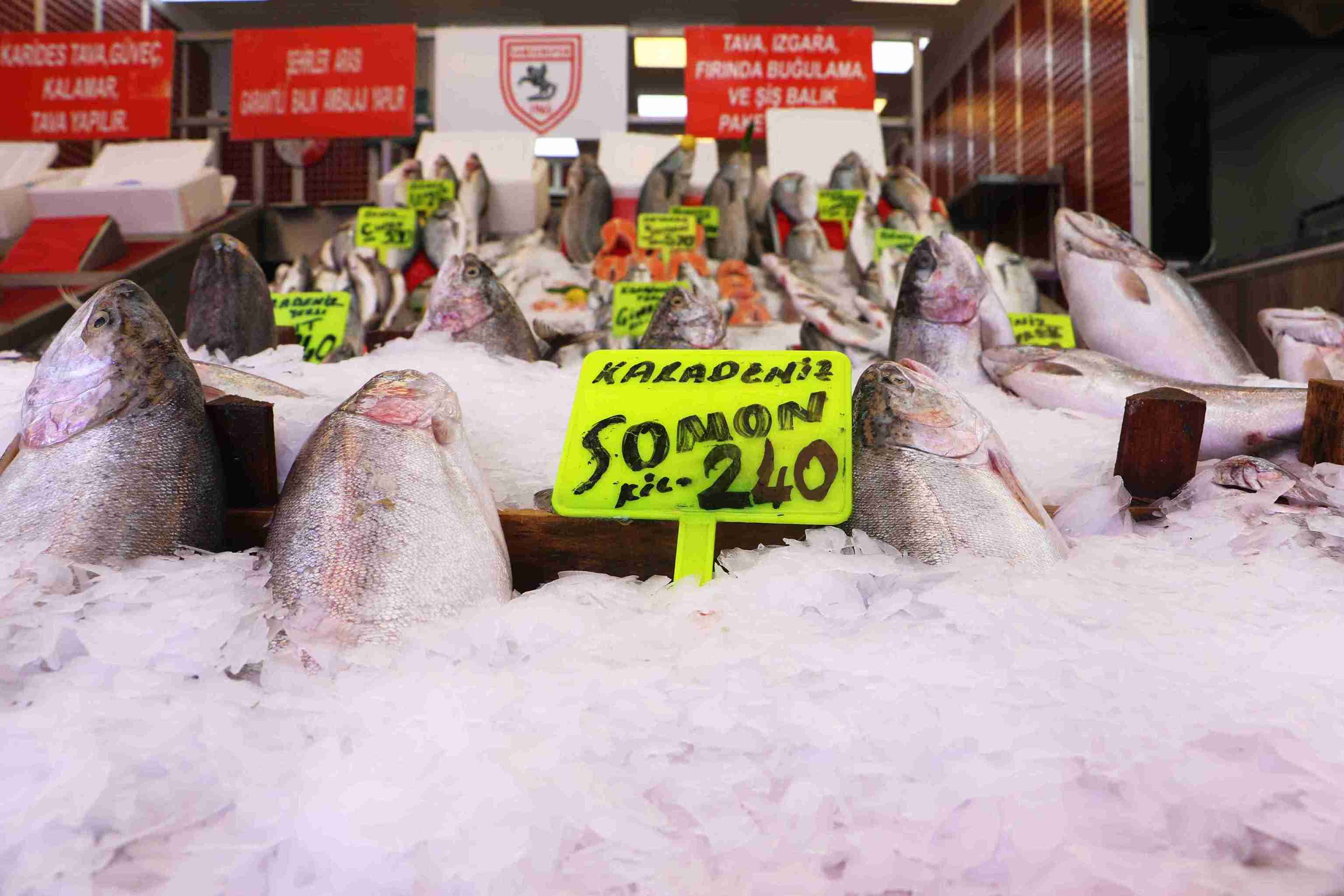 samsunda-av-sezonun-ilk-baliklari-tezga-892492-265048-11zon.jpg