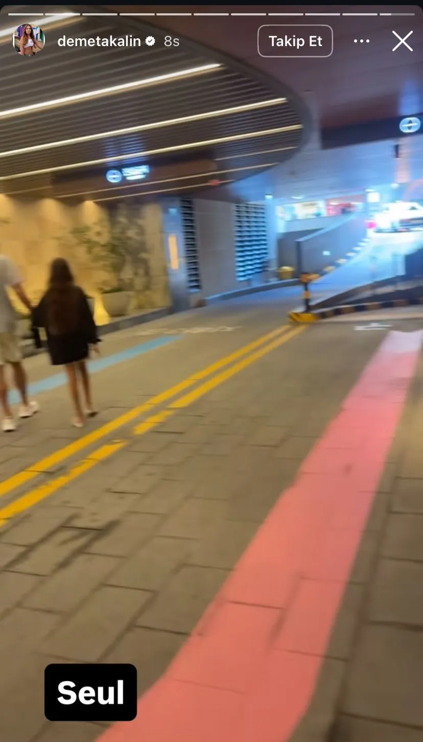 demet-akalin-seul.webp