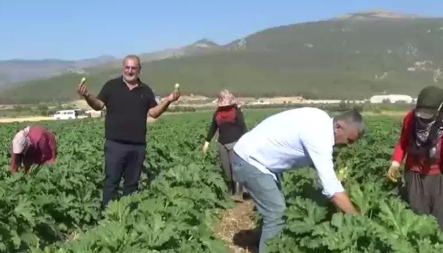 kabakk.jpg