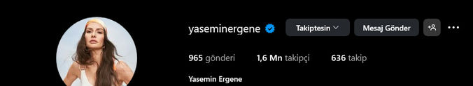 yasemin-ergene.jpg