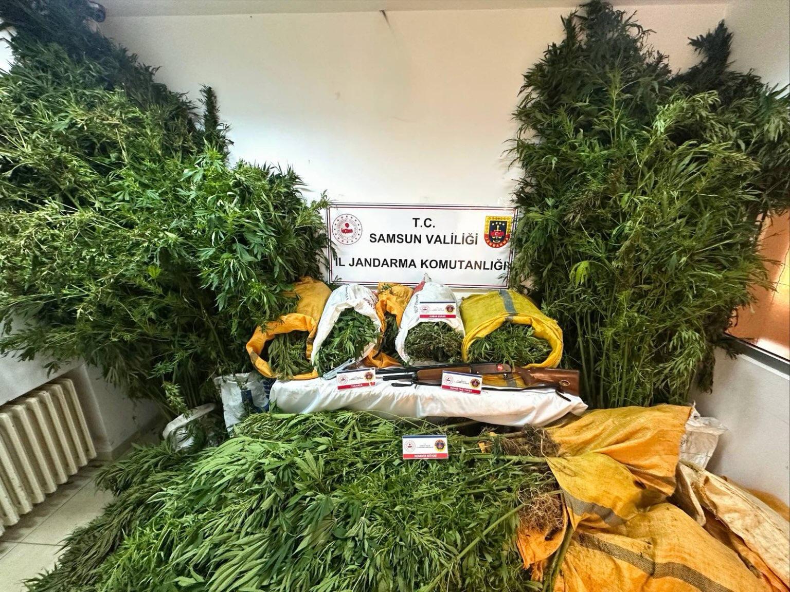 aa-20250918-39146589-39146588-samsunda-findik-bahcesine-kenevir-ektikleri-iddia-edilen-baba-ogul-tutuklandi.jpg
