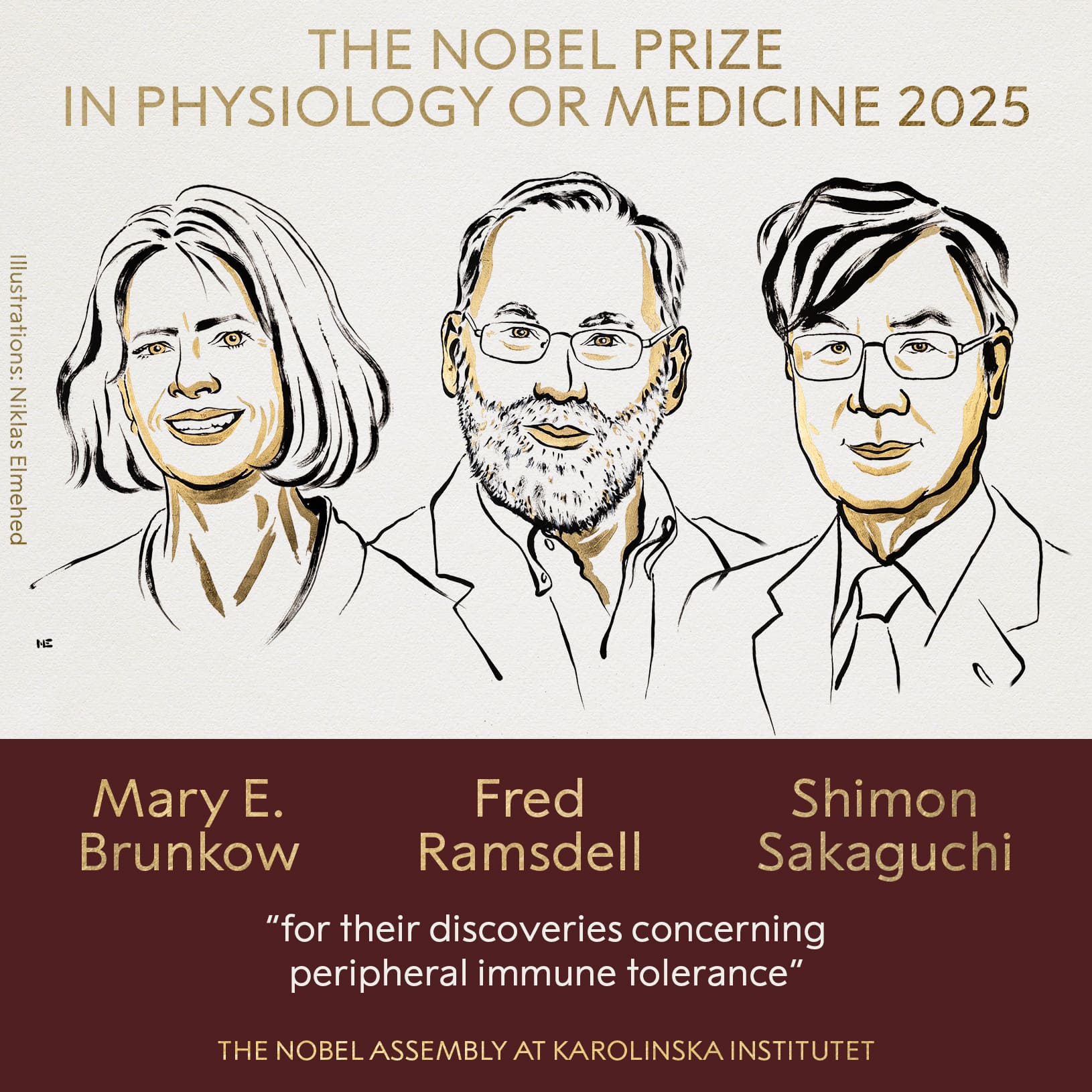 nobel-tip-odulu-20251.jpeg