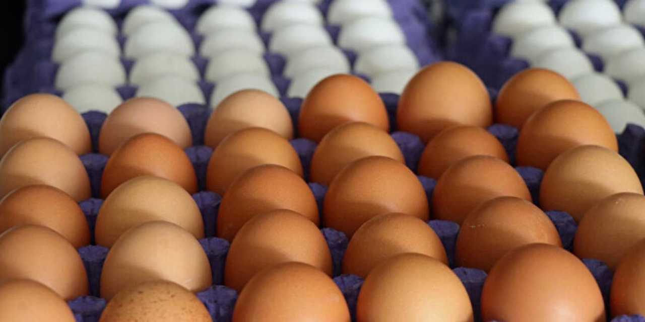 yumurtanin-fiyati-240-lira-oldu-yoksulun-proteini-nasil-etle-yarisacak-hale-geldi-2.jpg