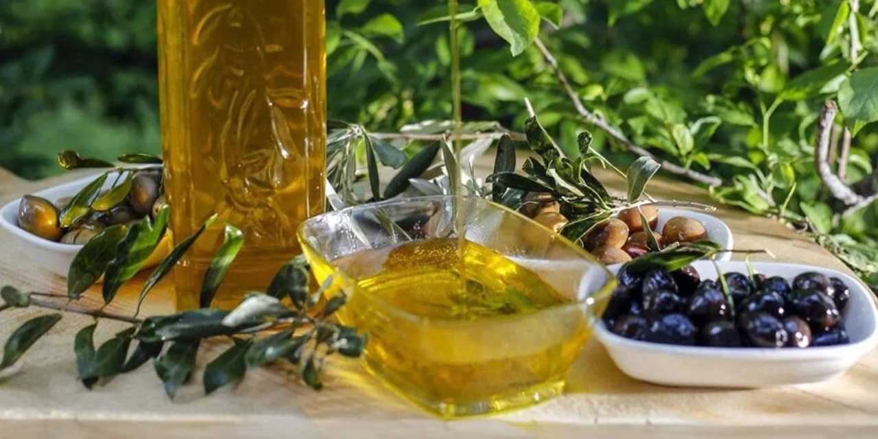 taris-zamli-zeytinyagi-alim-fiyatlarini-acikladi-2.jpg