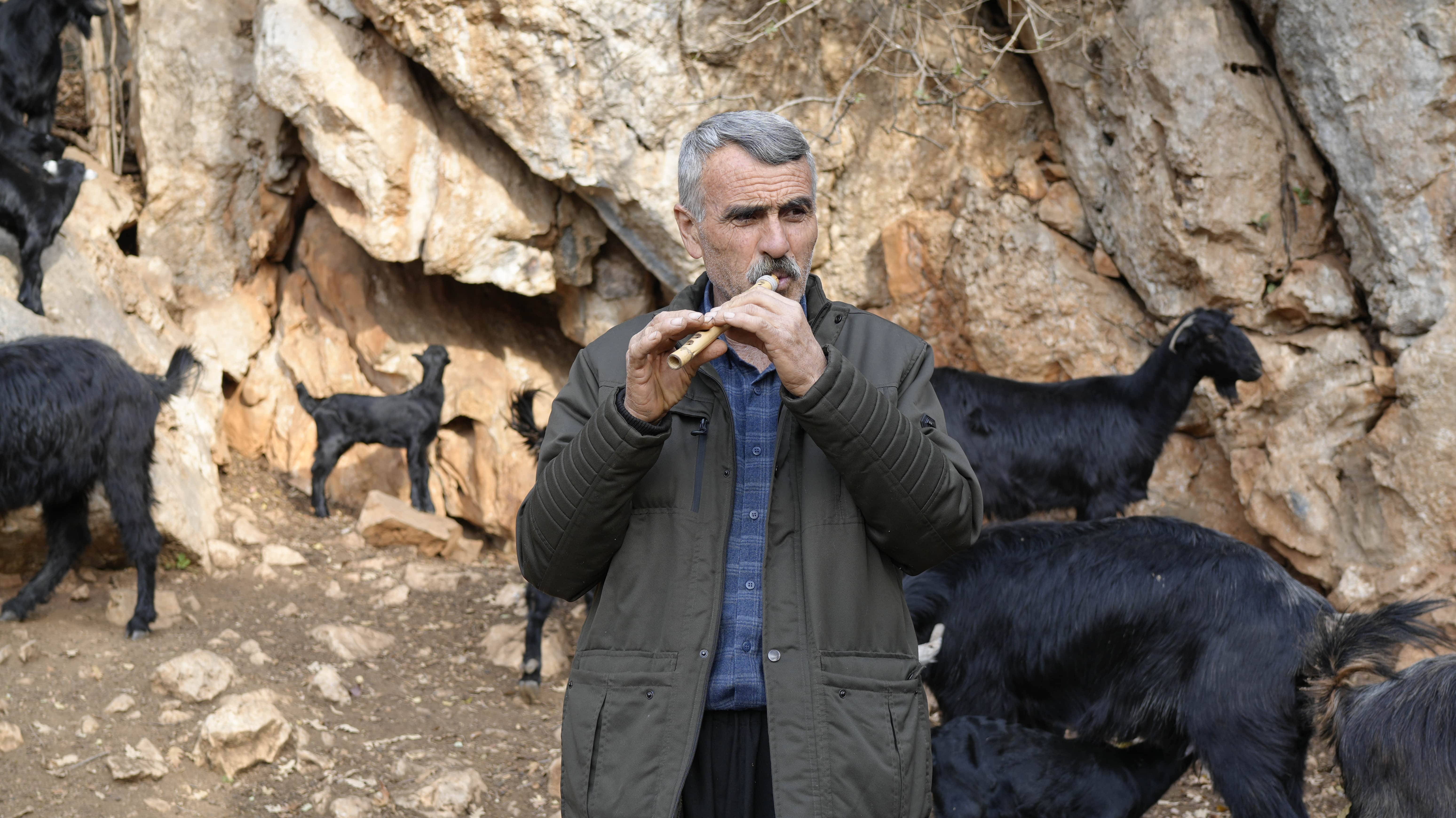 aa-20251229-40104966-40104963-yarim-asirlik-coban-kavalindan-cikardigi-nagmelerle-surusunu-kontrol-ediyor-min.jpg