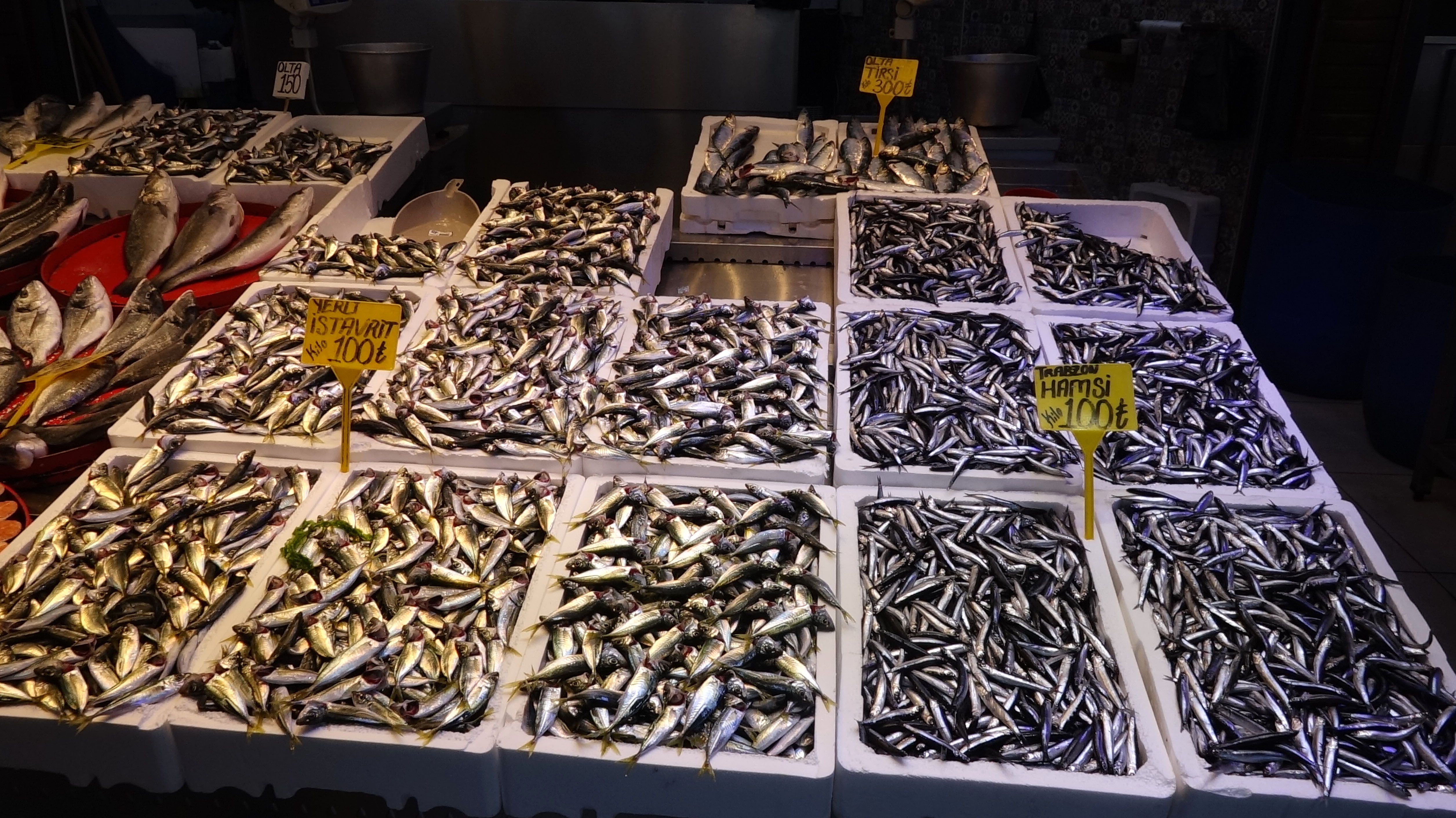 trabzonda-balik-alarmi-tezgahlarda-hamsi-yok-3.jpg