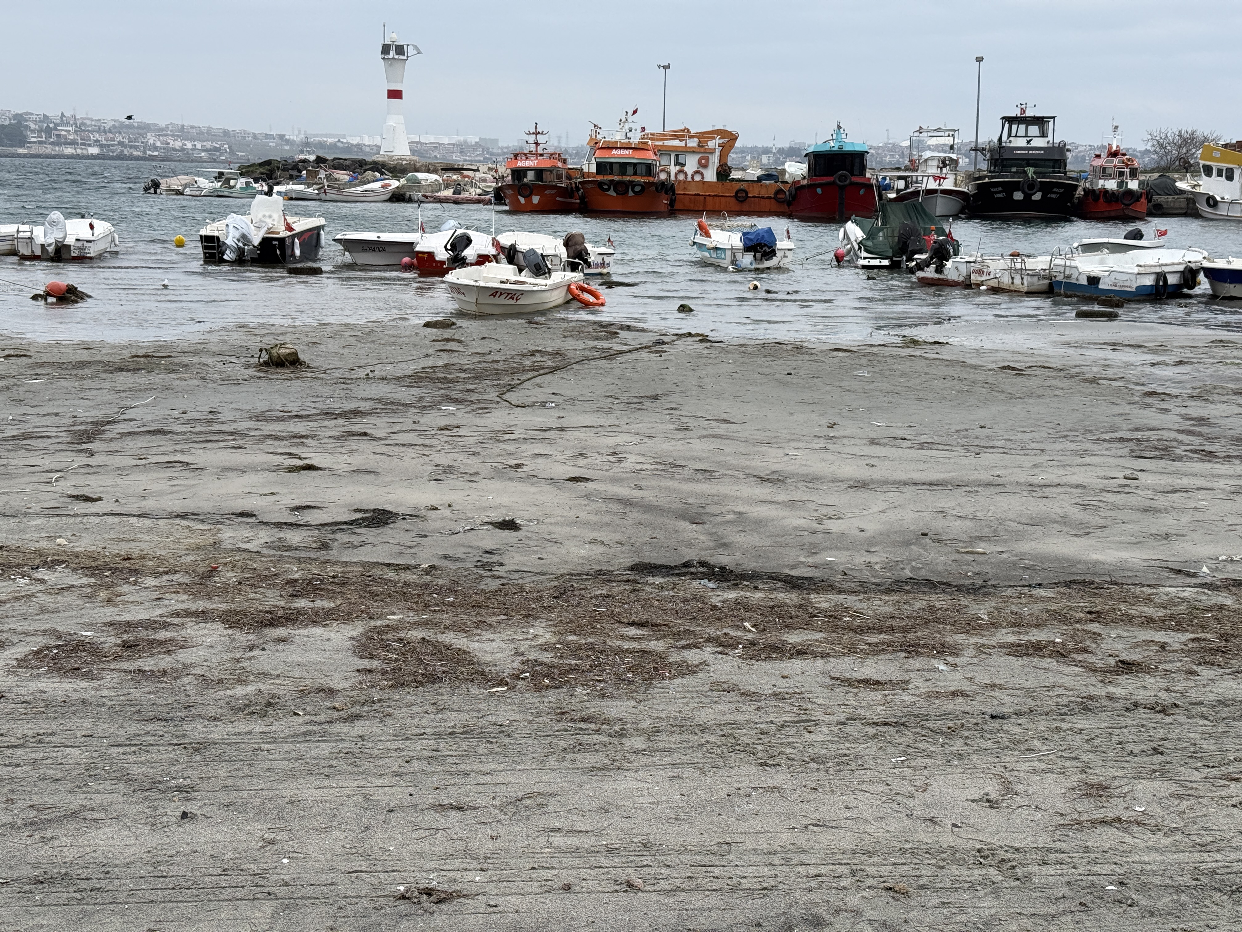 aa-20260120-40309356-40309350-tekirdagda-marmaraereglisi-sahilinde-deniz-suyu-cekildi.jpg