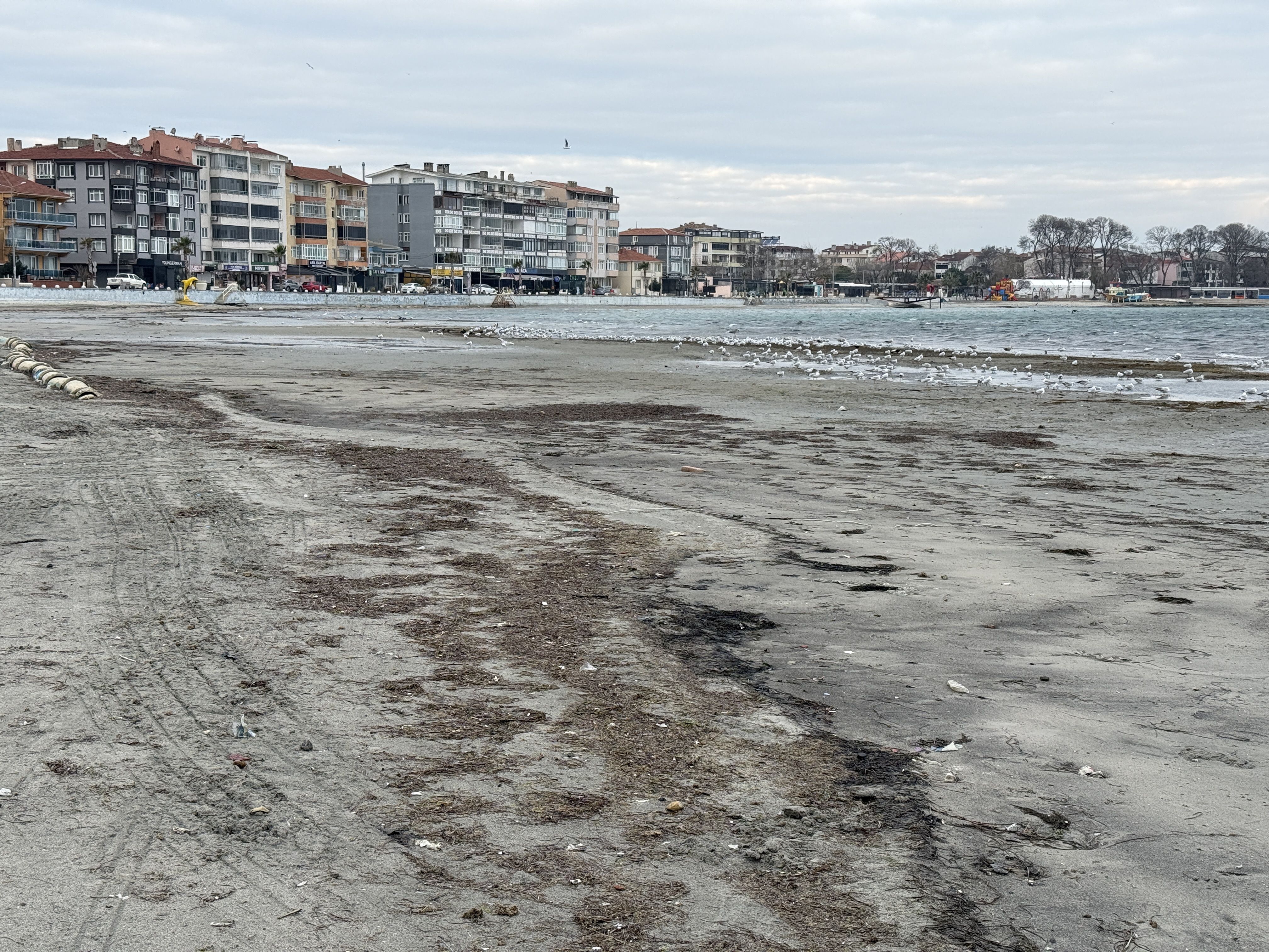 aa-20260120-40309356-40309351-tekirdagda-marmaraereglisi-sahilinde-deniz-suyu-cekildi.jpg