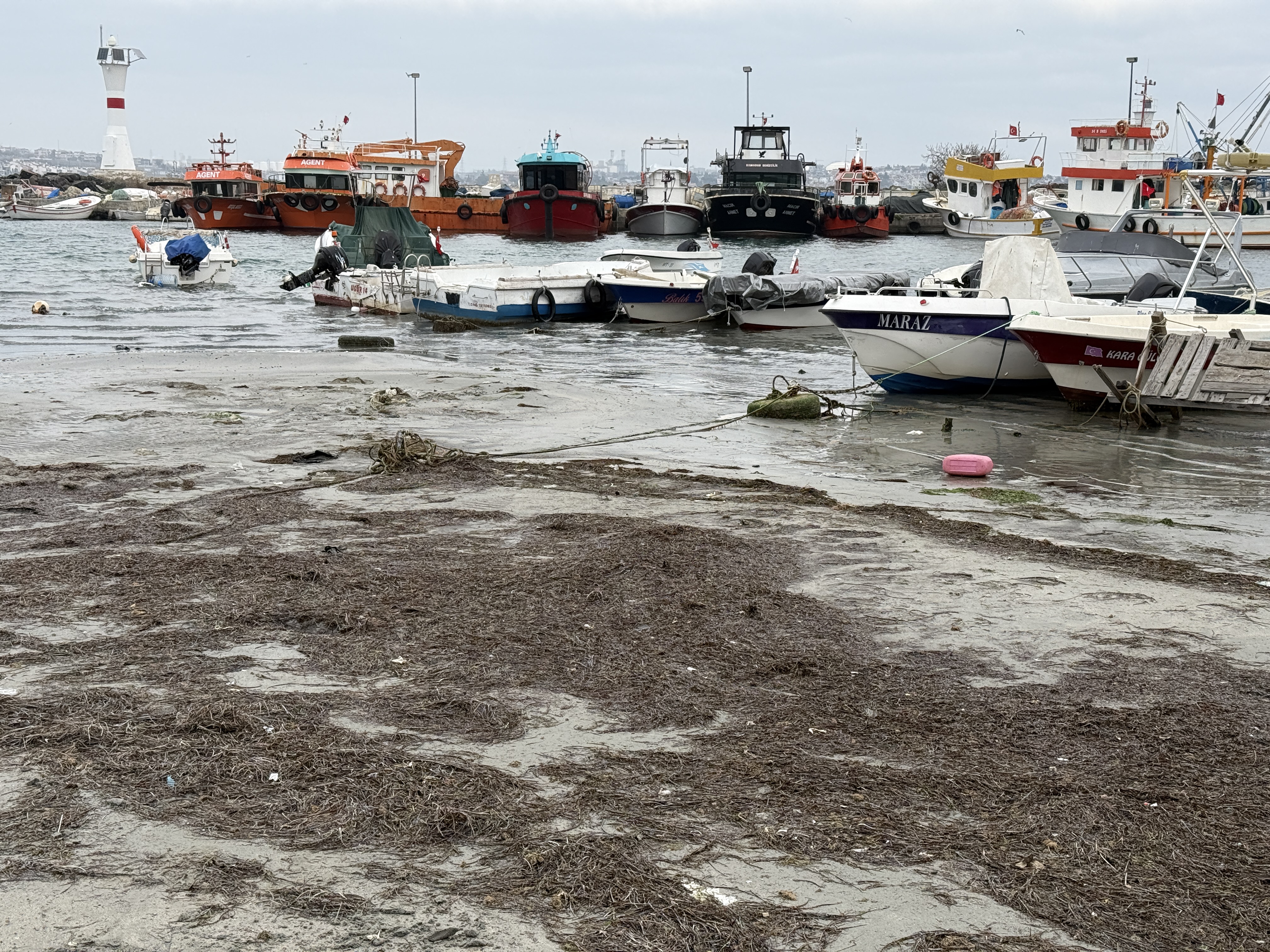 aa-20260120-40309356-40309354-tekirdagda-marmaraereglisi-sahilinde-deniz-suyu-cekildi.jpg