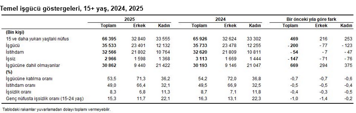 screenshot-2026-03-25-at-10-16-28-isgucu-istatistikleri-2025-veri-portali-tuik.png