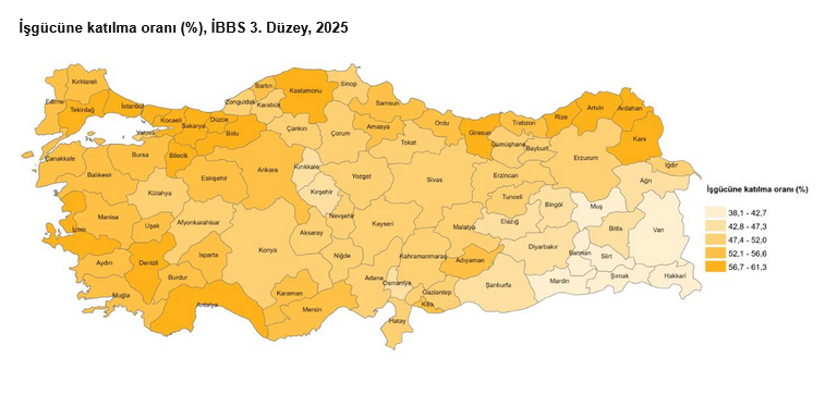 screenshot-2026-03-25-at-10-17-04-isgucu-istatistikleri-2025-veri-portali-tuik.png