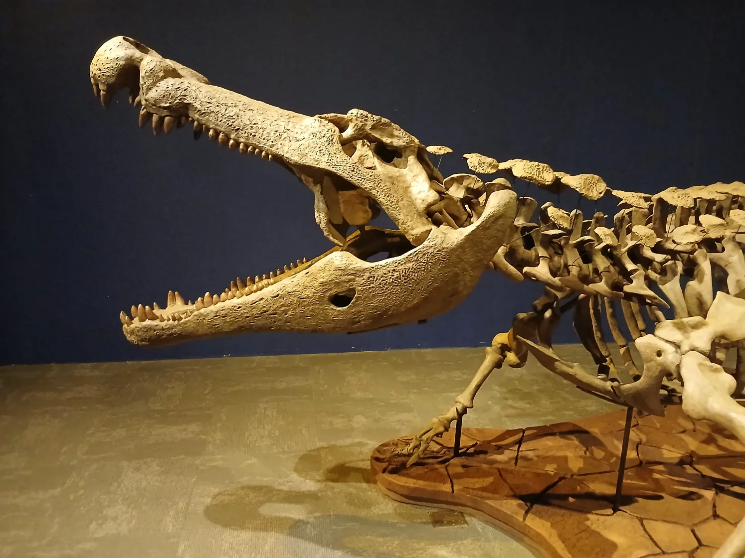 deinosuchus-side-profile.webp