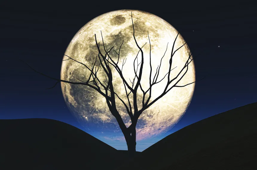 6534edde165cad340fff20f7e9762870-ce-5625x3750x188x0-cropped-860x570.webp