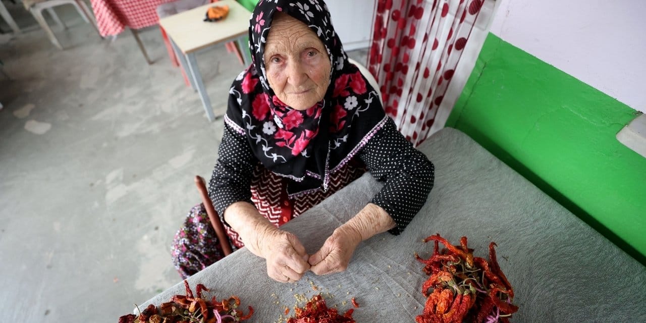 trakya-3.jpg