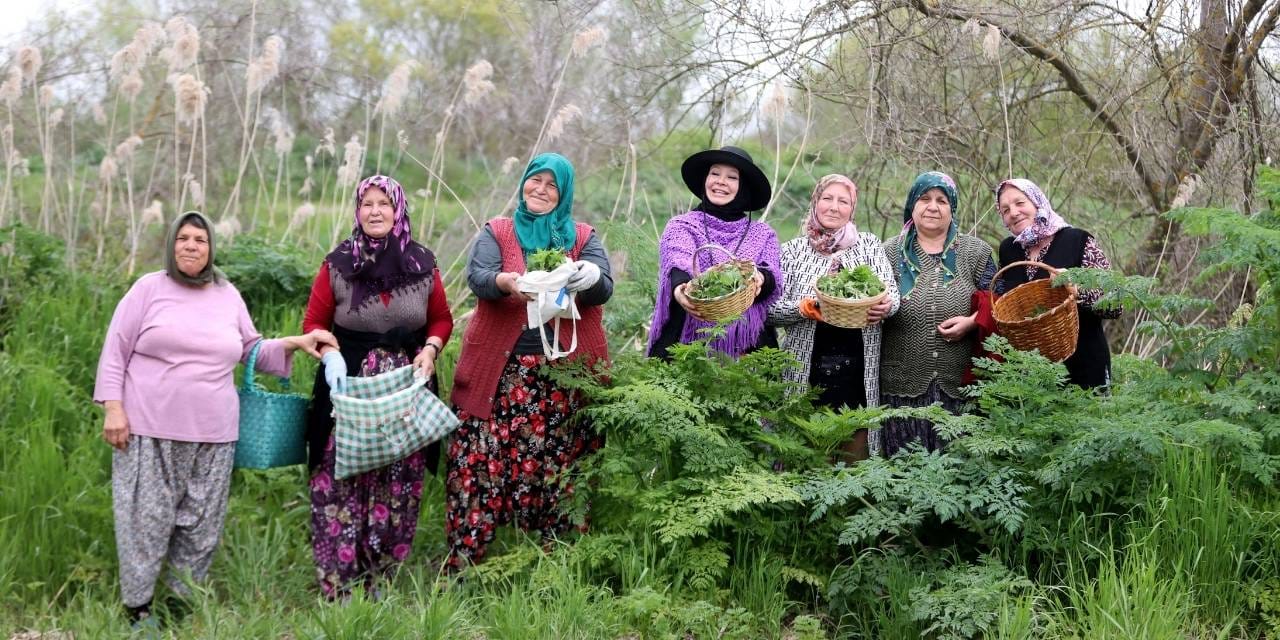 trakya-5.jpg