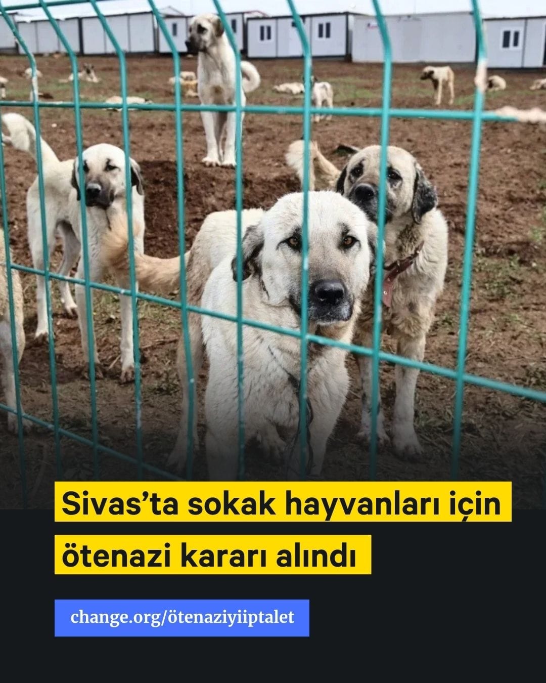 hhnsswfwcaamdqm.jpg
