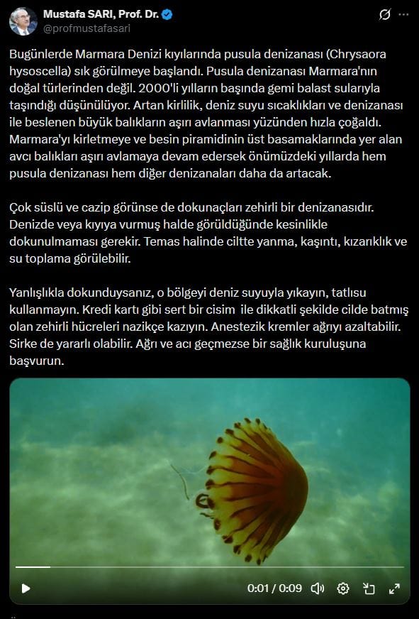 mustafa-sari.jpg
